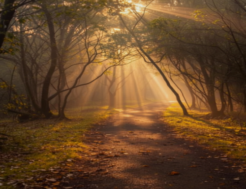 Is It PTSD? Understanding Trauma and How Healing Works